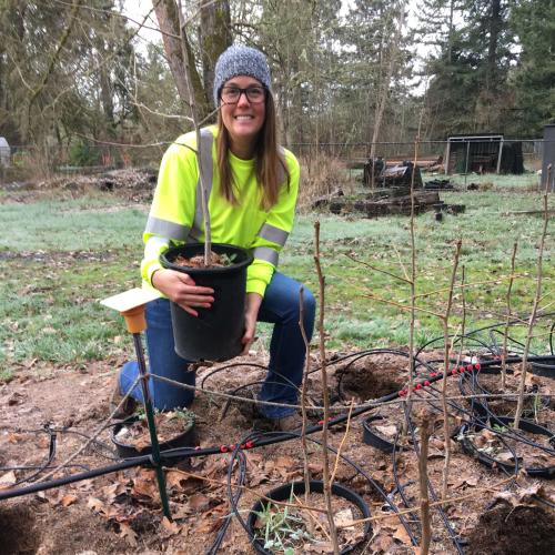 A women kneels holding a potted sapling behind a row of potted saplings in the ground